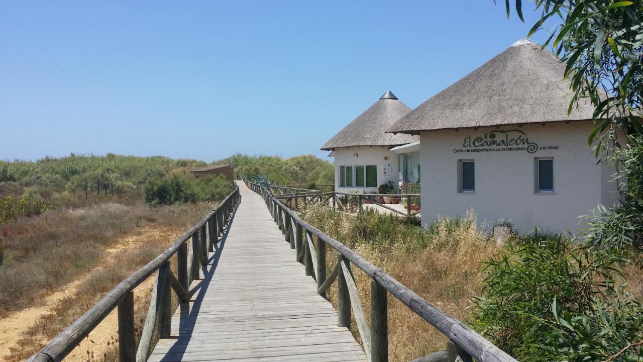 La Pavona 11 - 1ª Linea De Playa Chipiona Villa Dış mekan fotoğraf